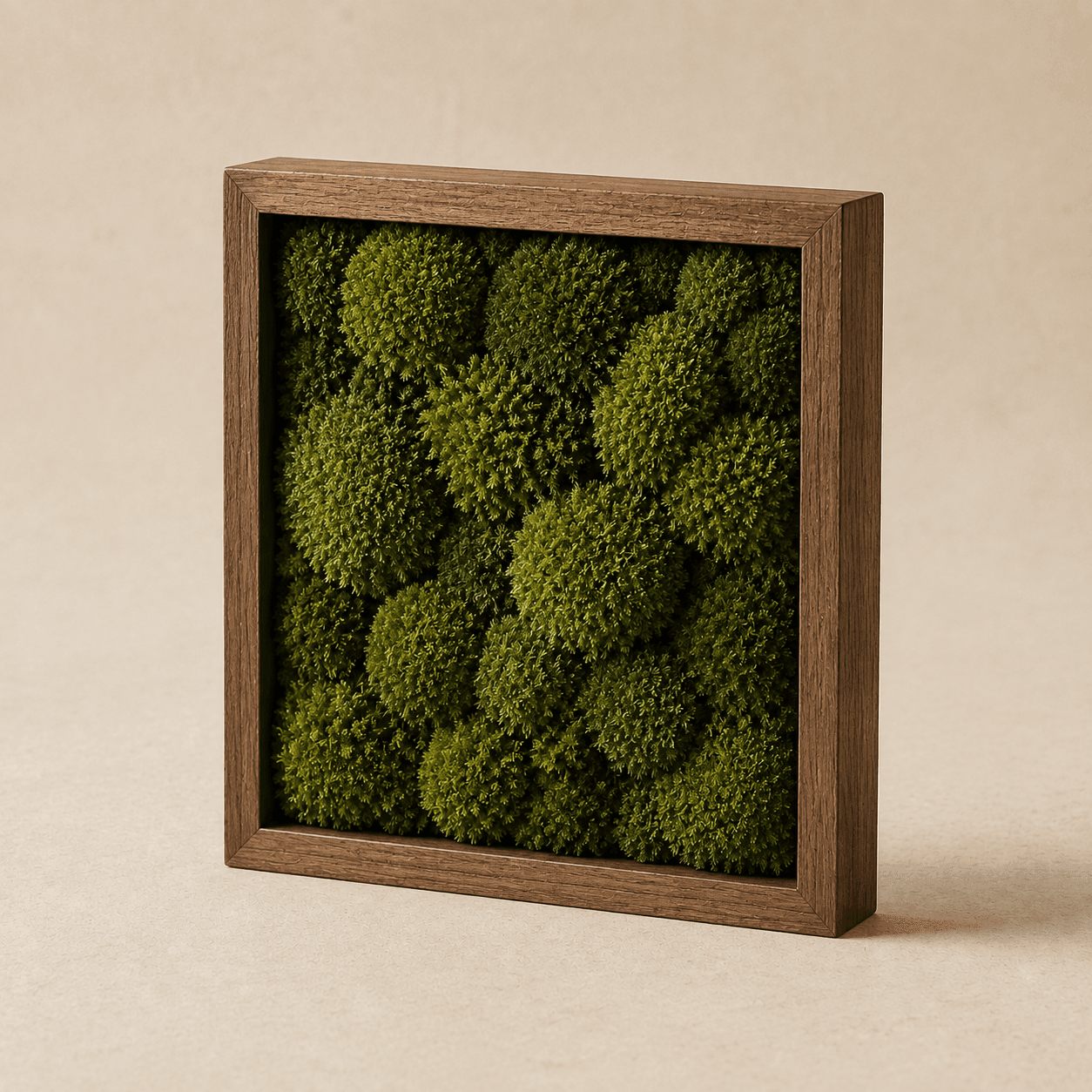 Living Decor